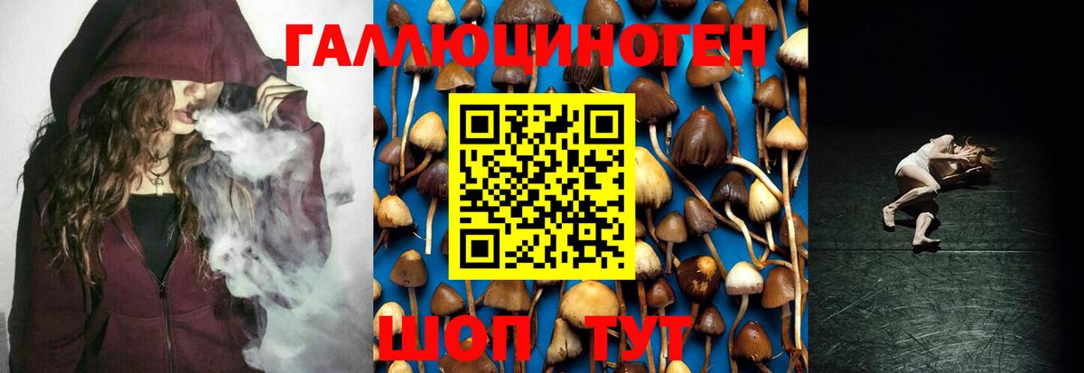 Псилоцибиновые грибы Psilocybine cubensis Семилуки